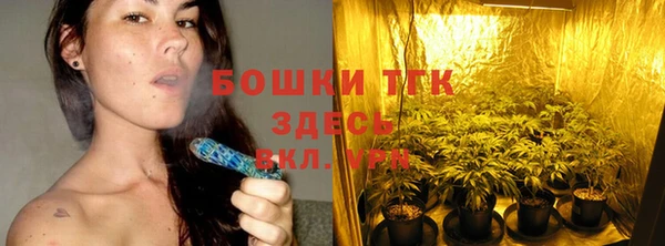 МДПВ Лиски